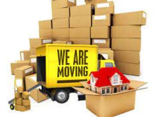 shipping and courier services